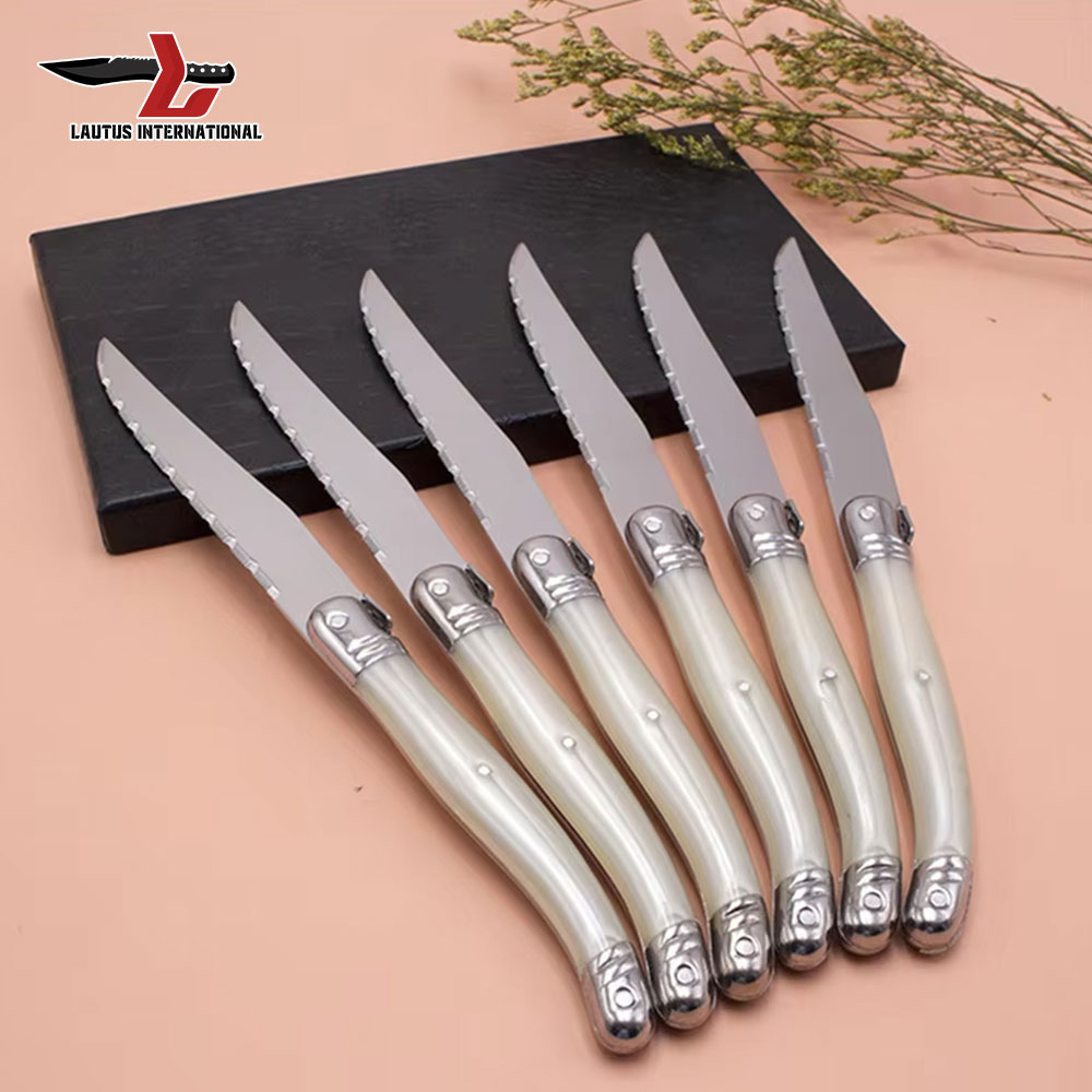 Laguiole Stainless Steel Knives